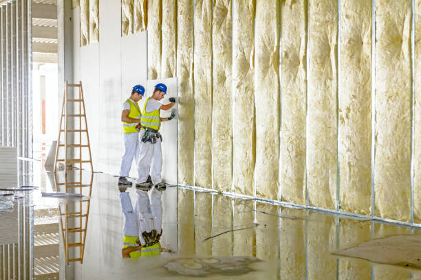 Best Insulation Installation Services in Forsyth, MO